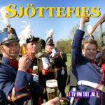 DIVERSE ARTIESTEN - SJ?TTEFIES